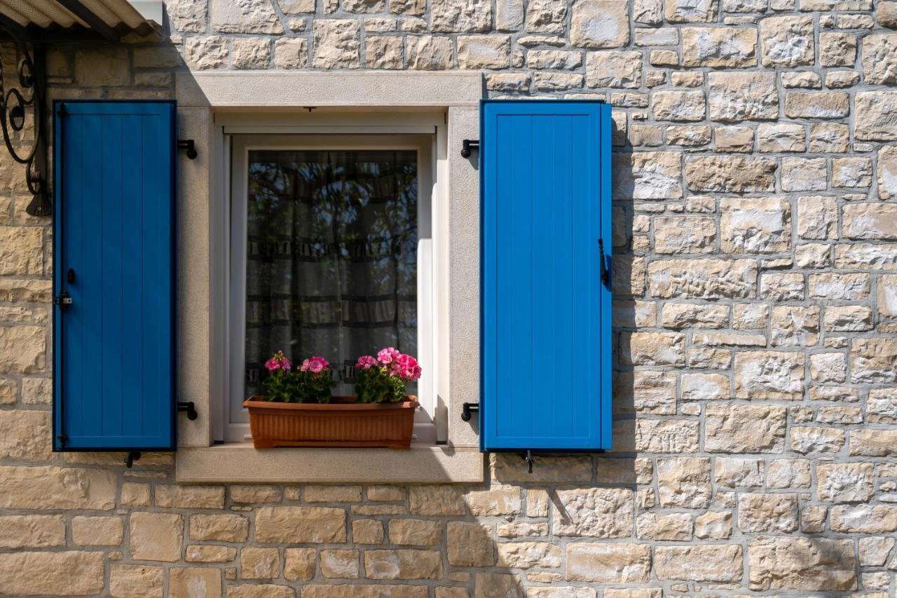 Villa Daulos Novigrad Istria Exteriér fotografie