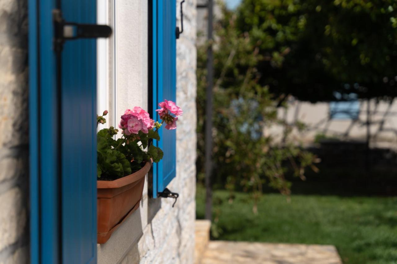 Villa Daulos Novigrad Istria Exteriér fotografie