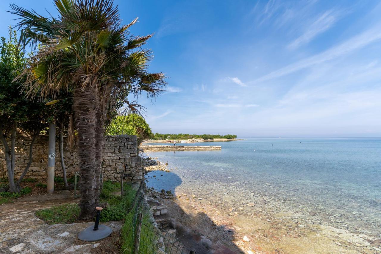 Villa Daulos Novigrad Istria Exteriér fotografie