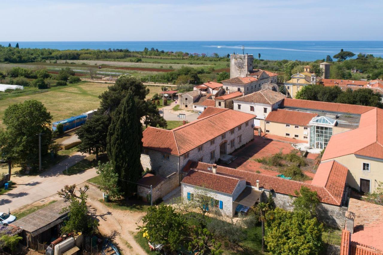 Villa Daulos Novigrad Istria Exteriér fotografie