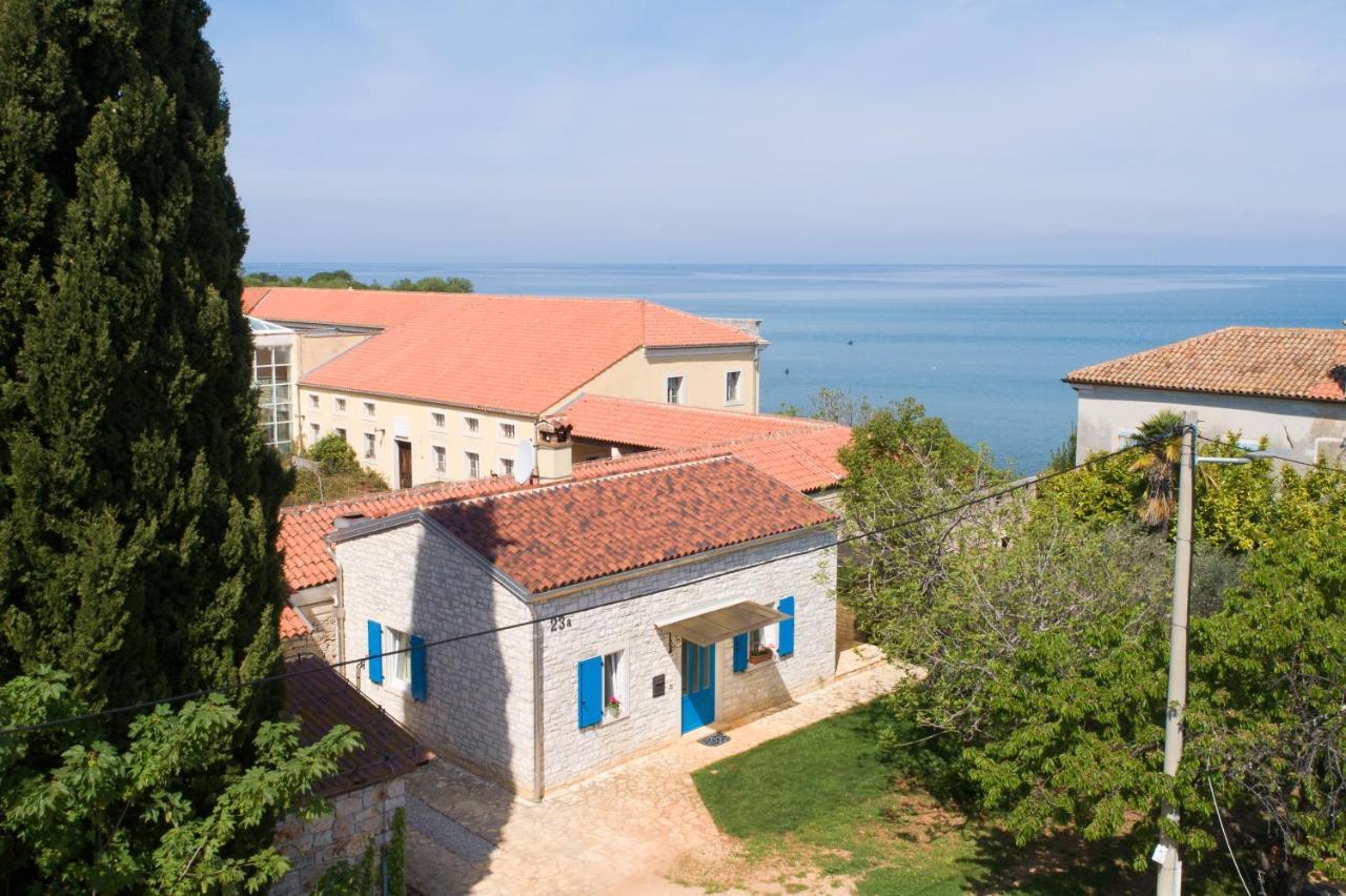 Villa Daulos Novigrad Istria Exteriér fotografie