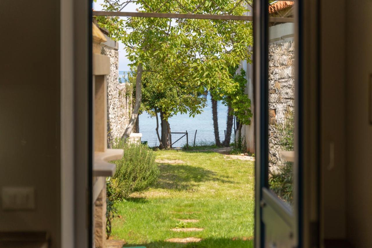 Villa Daulos Novigrad Istria Exteriér fotografie