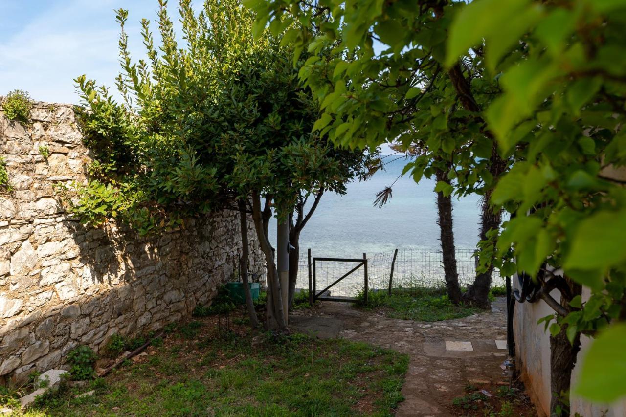 Villa Daulos Novigrad Istria Exteriér fotografie